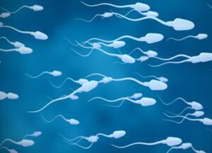 best andrology care in madurai